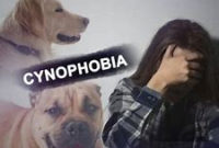 Pengertian dan Penyebab Cynophobia