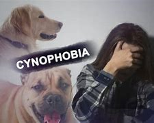 Pengertian dan Penyebab Cynophobia