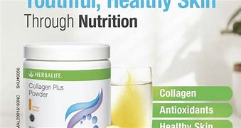 Manfaat Collagen Herbalife Terbaru